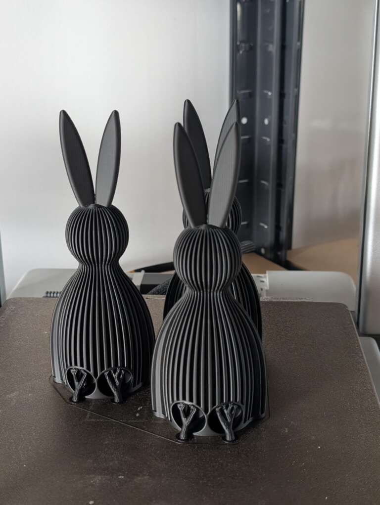 WhatsApp Image 2026-03-05 at 15.36.35 (1)