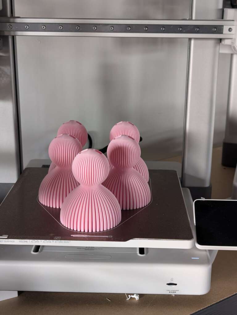 WhatsApp Image 2026-03-05 at 15.36.35